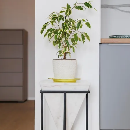 Vibes By Belmont Realty Apartman Zára